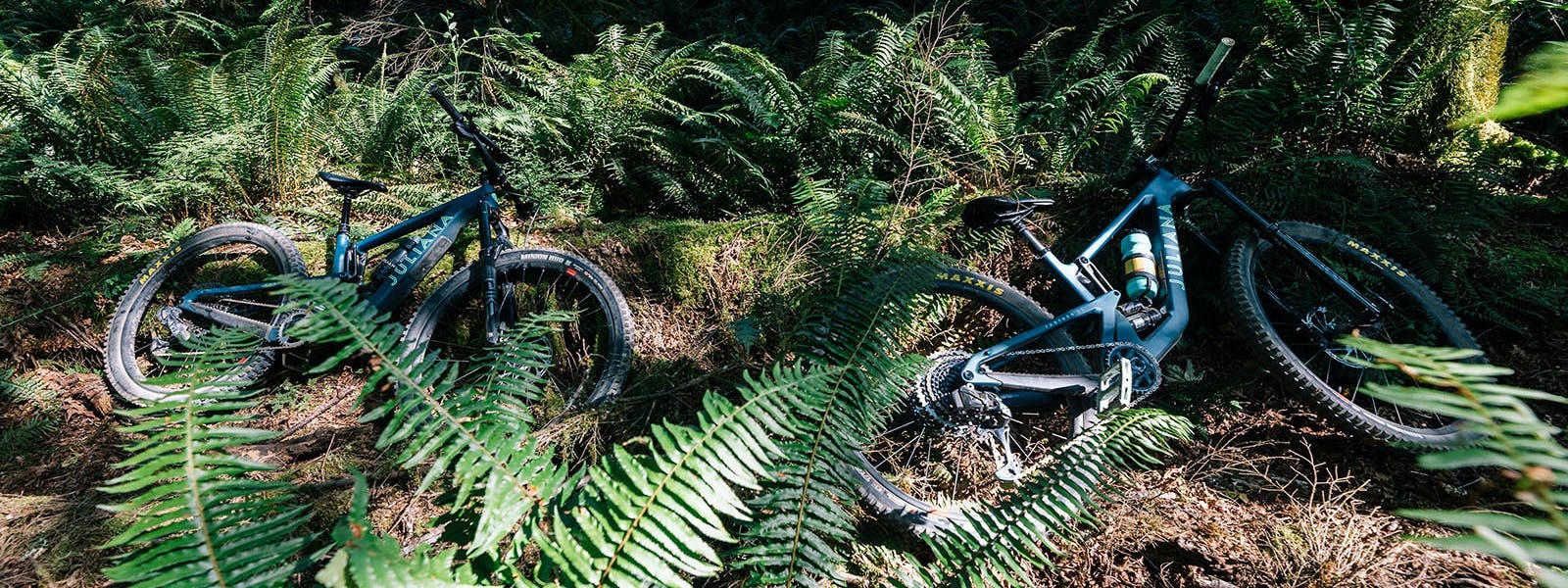 2 Juliana Furtado mountain bikes resting on the ground in the forest