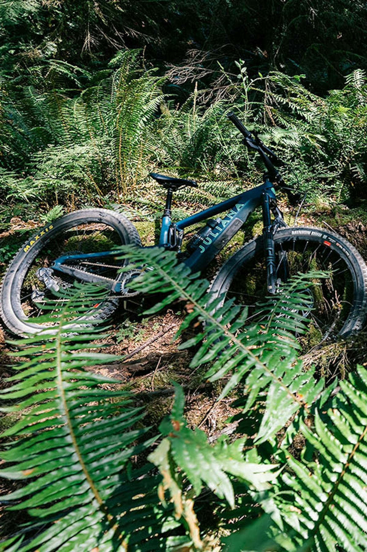 2 Juliana Furtado mountain bikes resting on the ground in the forest